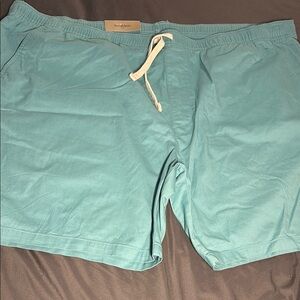 Goodfellow & Co Teal Drawstring Men’s Shorts